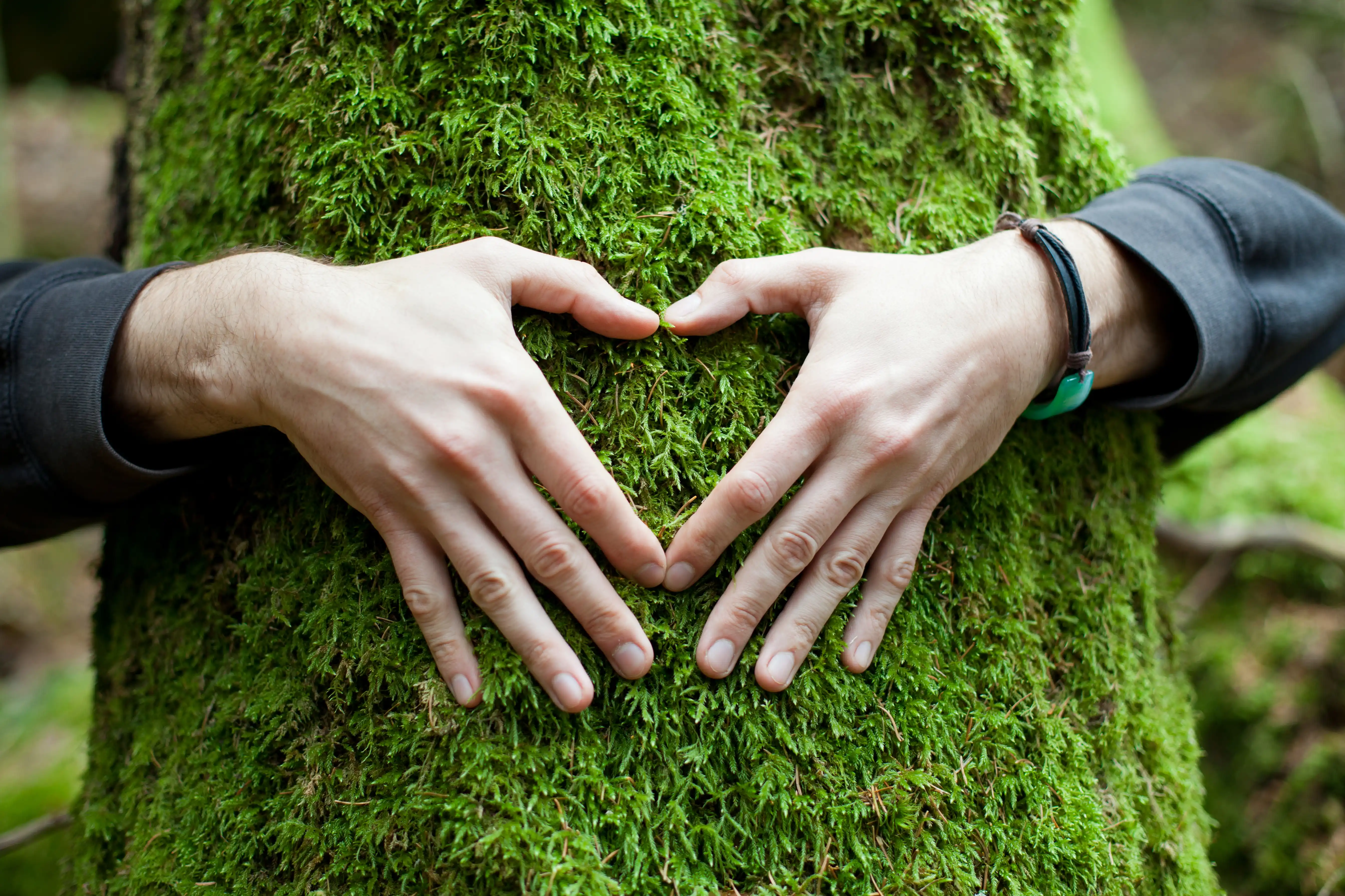 Hands forming a heart over grass